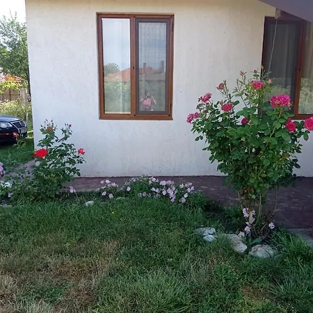 краси