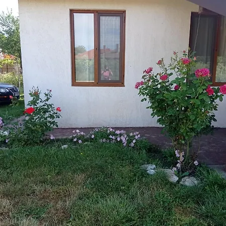 краси